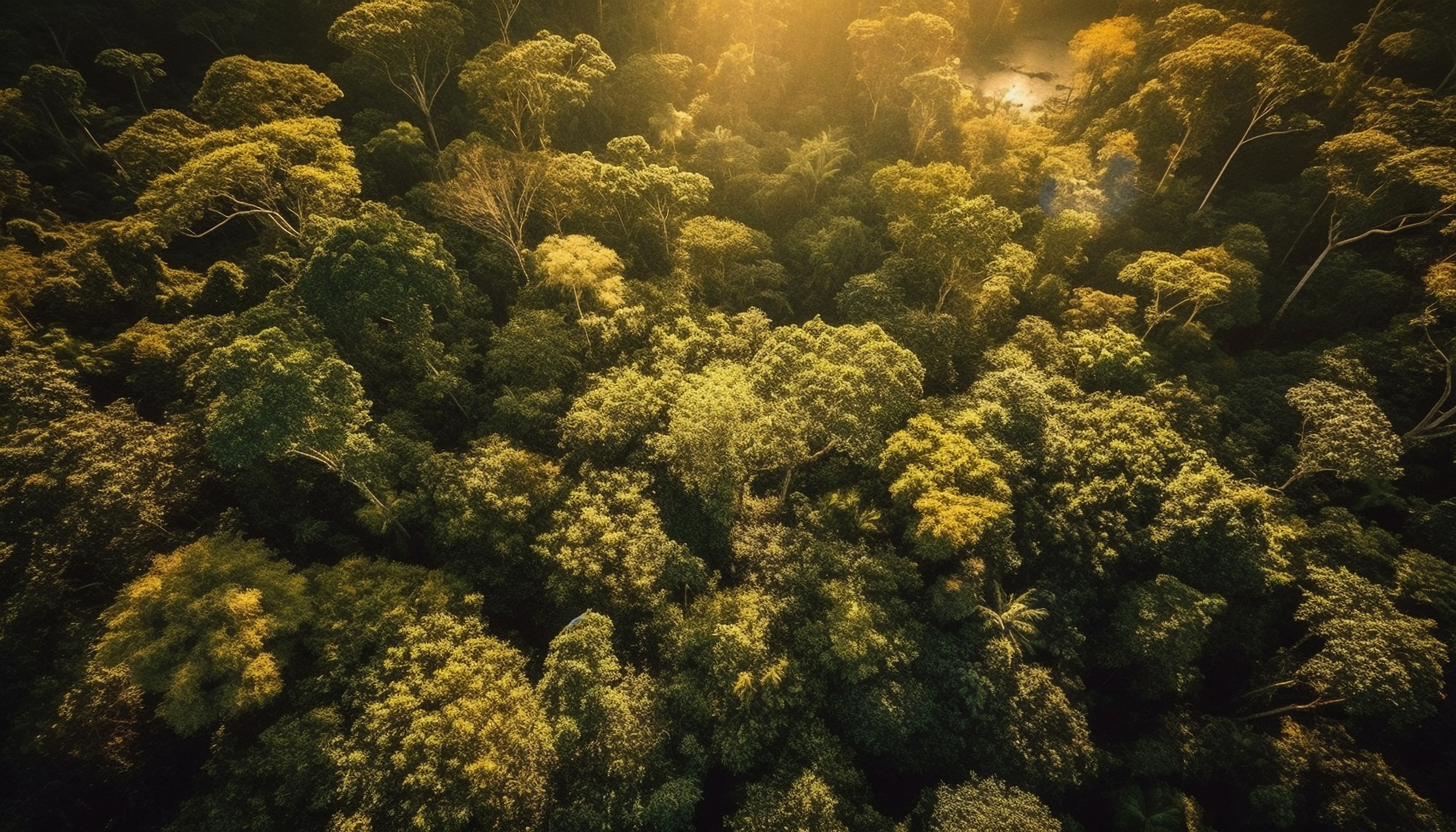 Imagem de vecstock no Freepik